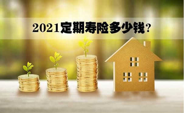 定期寿险一年多少钱?适合谁买?
