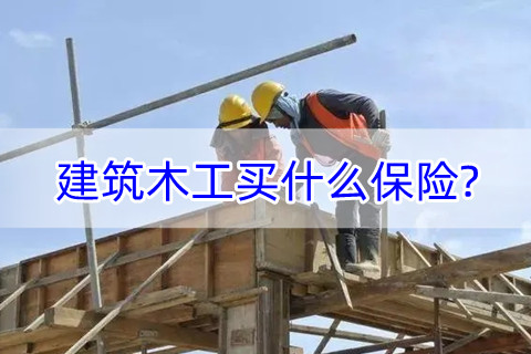 建筑木工买什么保险?2022建筑木工保险多少钱?