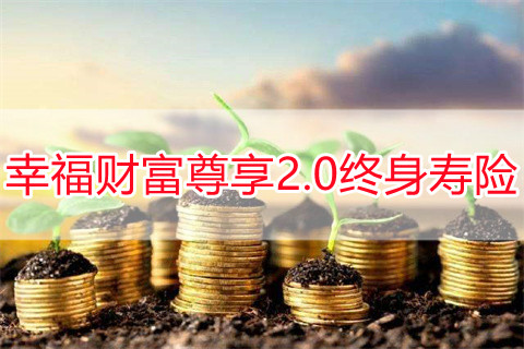 2022幸福财富尊享2.0终身寿险产品如何?靠谱吗?
