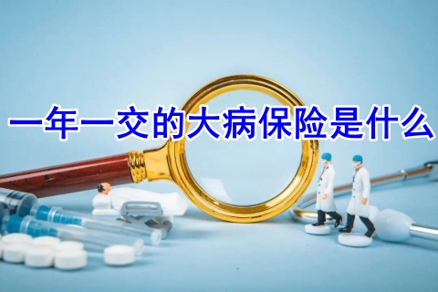 一年一交的大病保险是什么?大病保险一年多少钱?