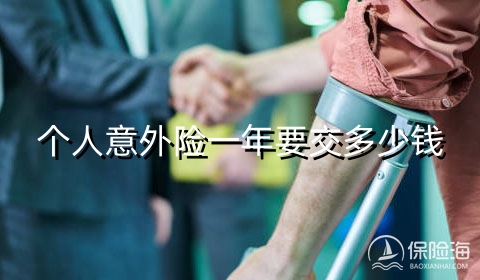 2023个人意外险一年要交多少钱，2023意外险险种及价格表