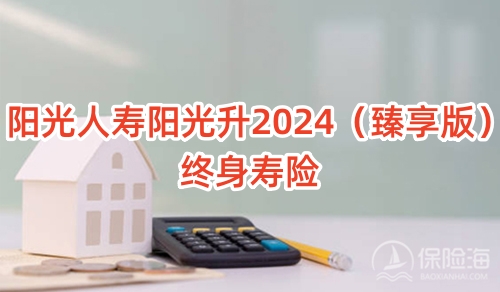 阳光人寿阳光升2024(臻享版)终身寿险保什么?有什么优点?