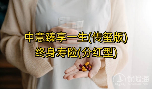 中意臻享一生(传玺版)终身寿险(分红型)保障如何?几时回本?
