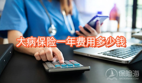 大病保险一年费用多少钱?大病保险是重疾险吗?